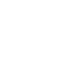 Leaf Blower