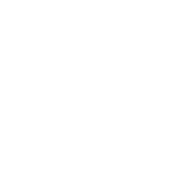 Ice Sculptor