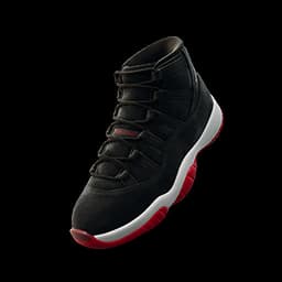 Air Jordan 11 'Black/Gym Red'