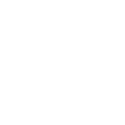 Lil' Tank