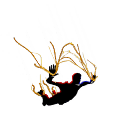 24-Karat Crash