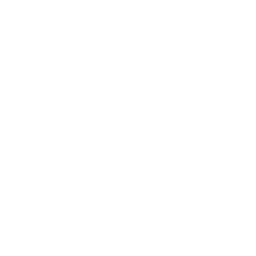 Jake Bug Dance