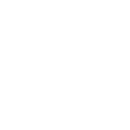 Disco (Surf Curse)