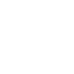The Spark