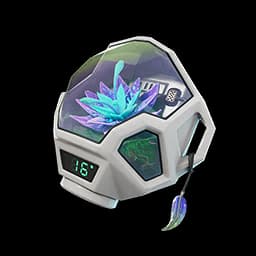 Blossom Pod
