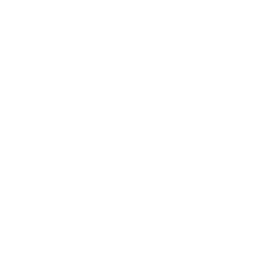 Bout
