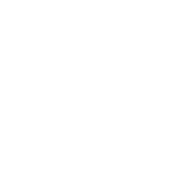 Search for Clues