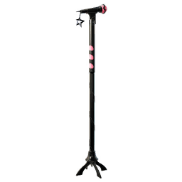 LISA's Classic Mic
