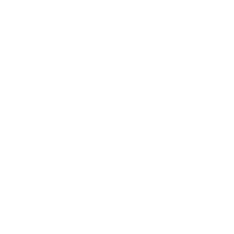 Fully-Hollowfied