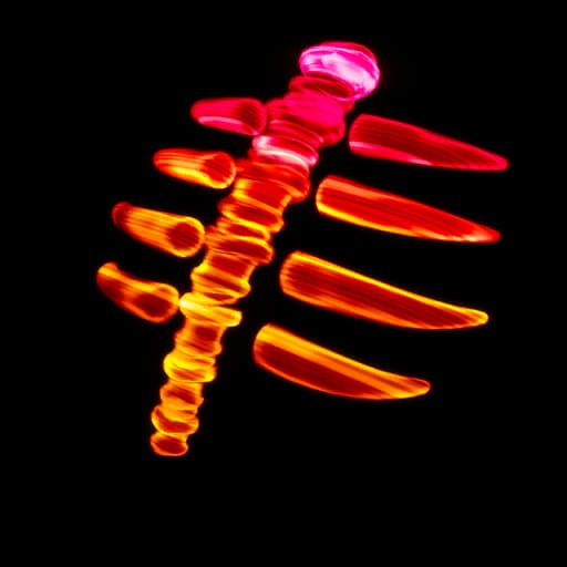 Spectral Spine (COLOR ORANGE)