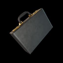 The Briefcase