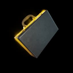 The Briefcase