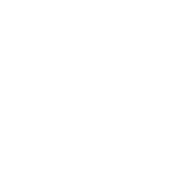 Soul Slash