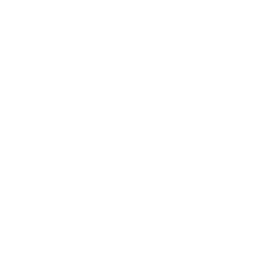 Shadow Summoner