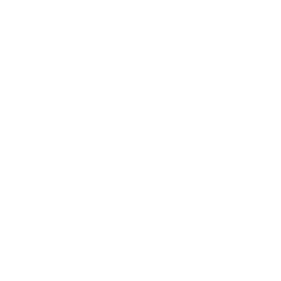 American Made — Common Skin Fortnite cosmetic