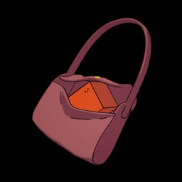 Francine's Purse