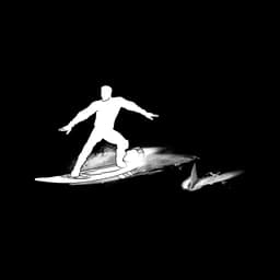 Surf's Up!
