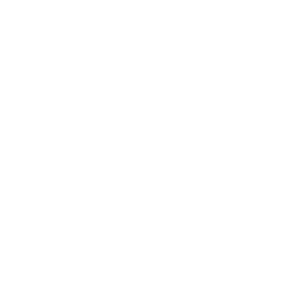 Big Guy (Ice's Version)
