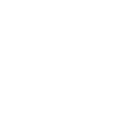 Blank — Common Skin Fortnite cosmetic