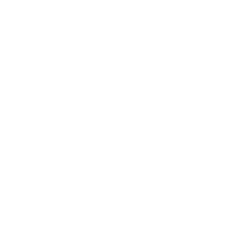 Blank — Common Skin Fortnite cosmetic