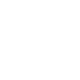 Wings — Uncommon Skin Fortnite cosmetic