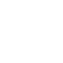 Blank — Uncommon Skin Fortnite cosmetic