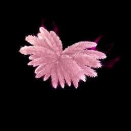 Madison's Angel Wings