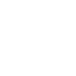 Black Bulls Noelle — Common Skin Fortnite cosmetic