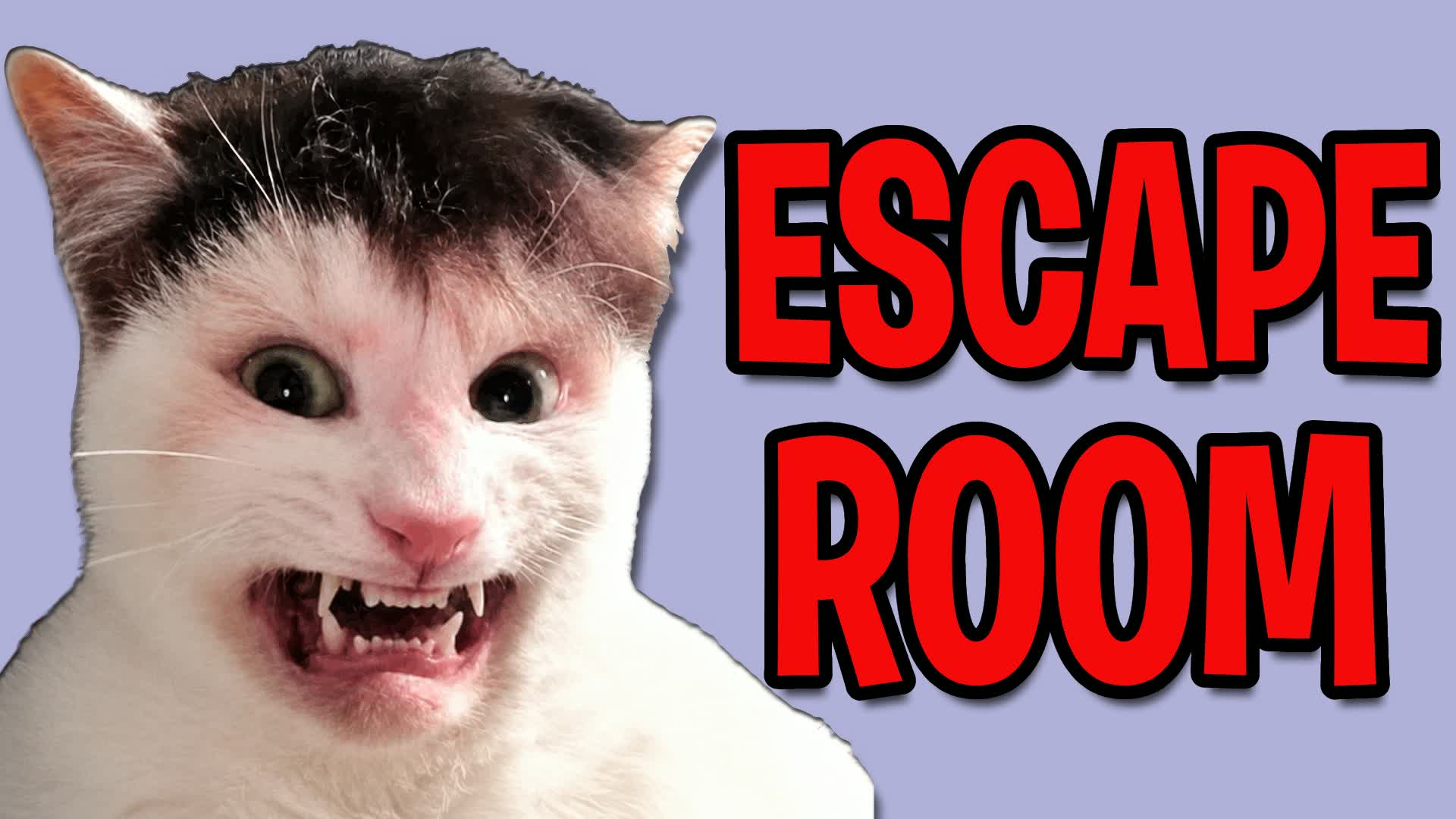 Clutterfunk Cat Escape Room 49 — Fortnite Creative map