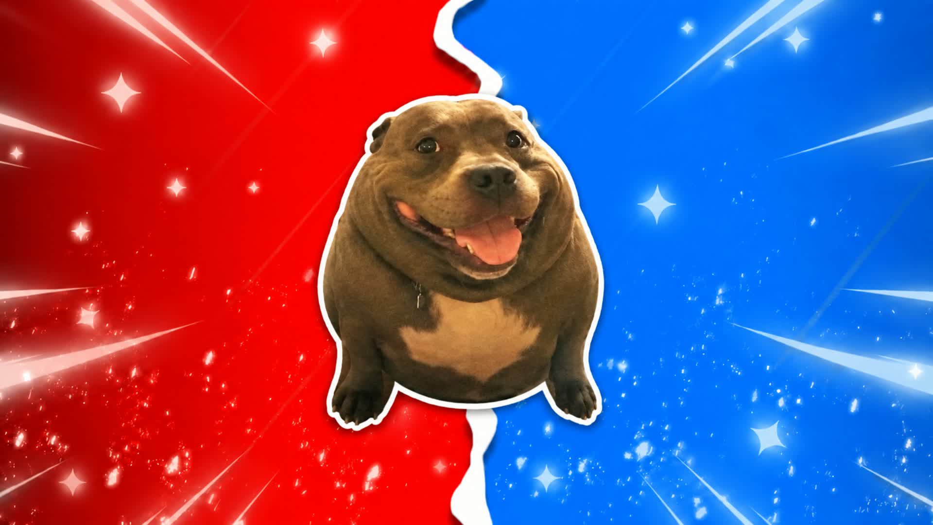 RED VS BLUE 🔴🔵DOG — Fortnite Creative map