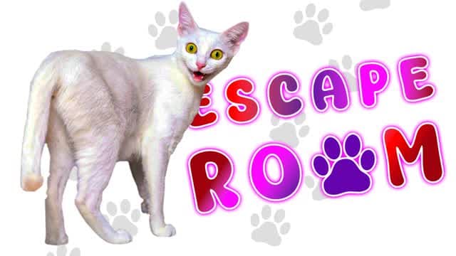 π Funny Cat Escape Room π β Fortnite Creative map