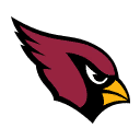 ARIZONA CARDINALS ALT — Punt Paragon